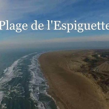 Grand Studio Au Grau-Du-Roi Proche Seaquarium Et Plage Le Grau-du-Roi Exterior foto